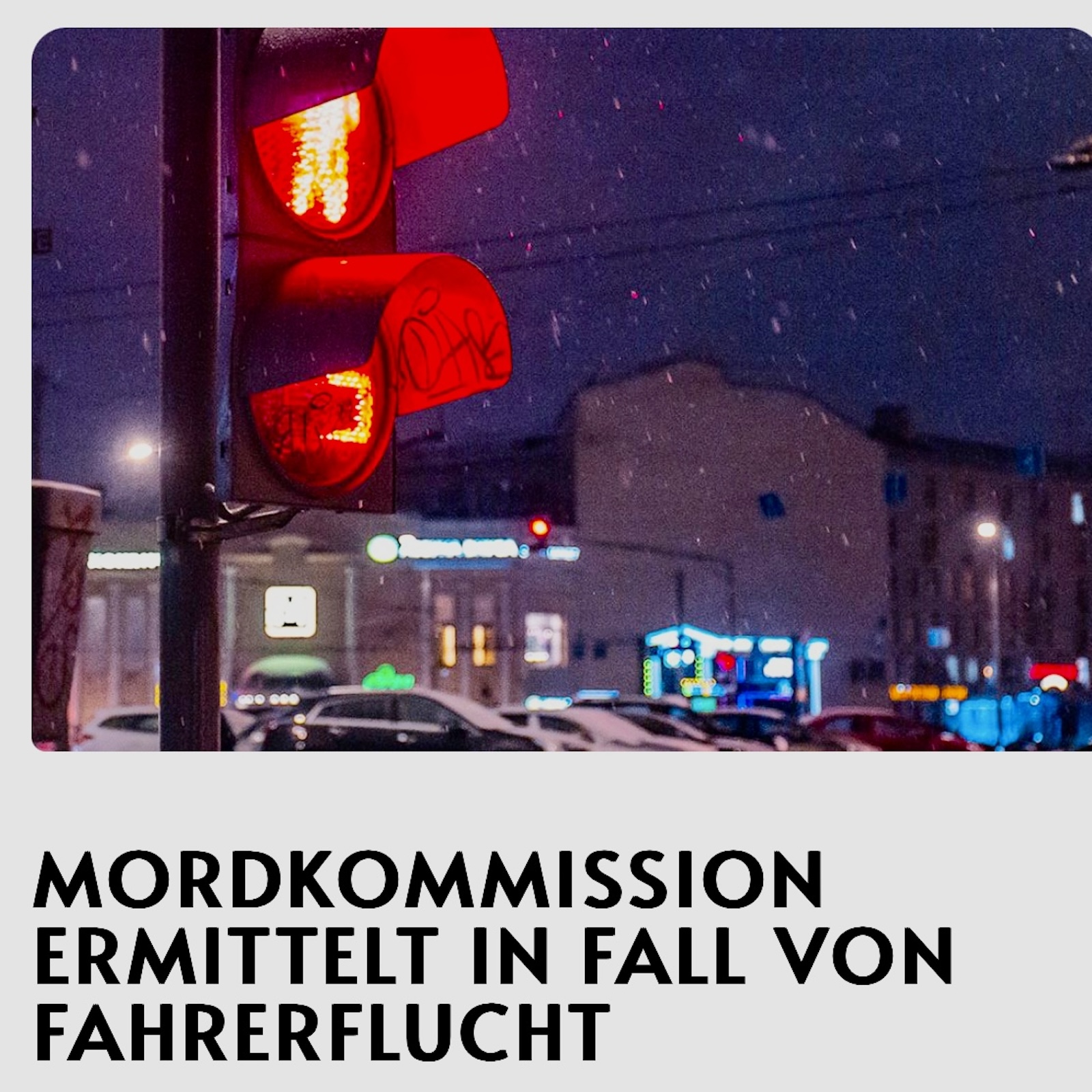 Ausschnitt aus Zeitungsartikel