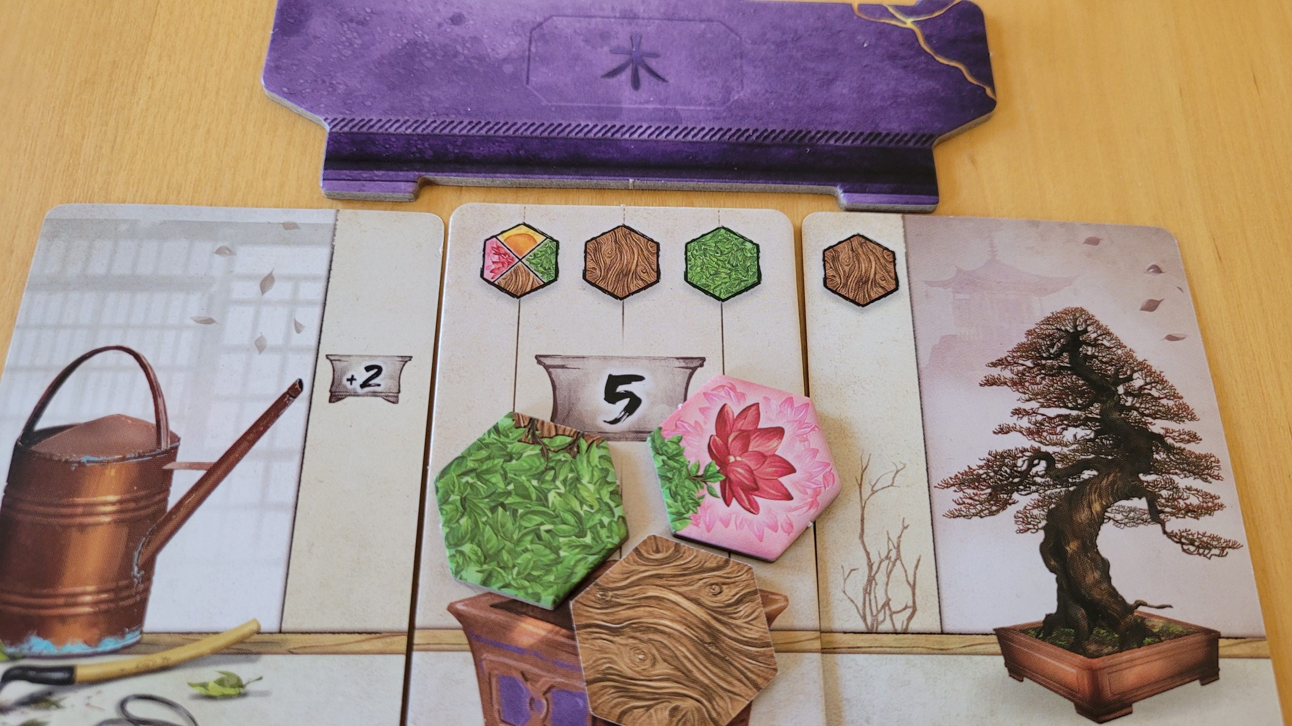 Nahaufnahme der Seishi-Plättchen