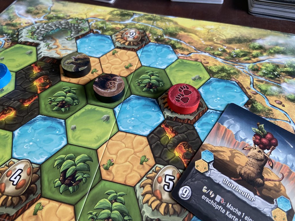 Blick auf das Spielbrett.