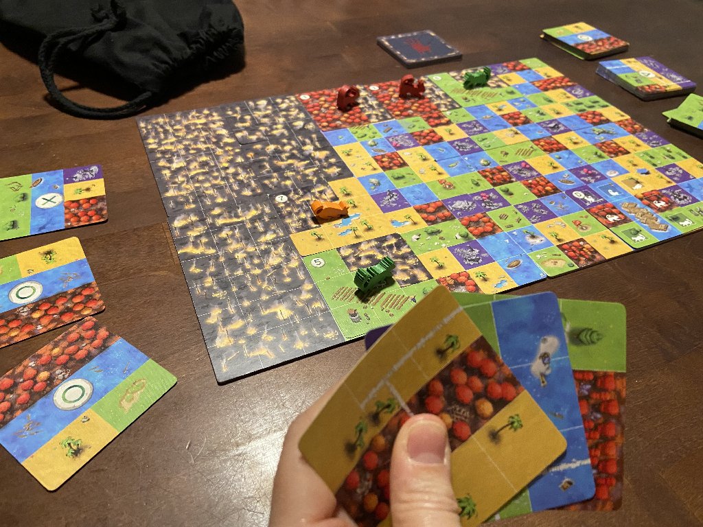Das Spielbrett zu Los zum Floß und eine Kartenhand.
