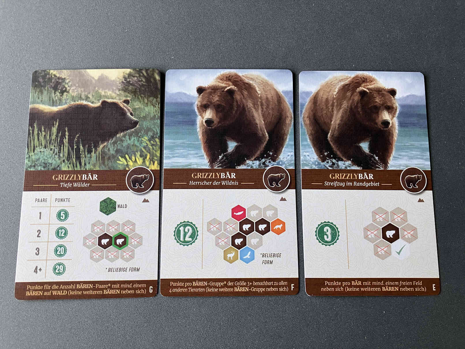 3 neue Wertungskarten der Grizzlies