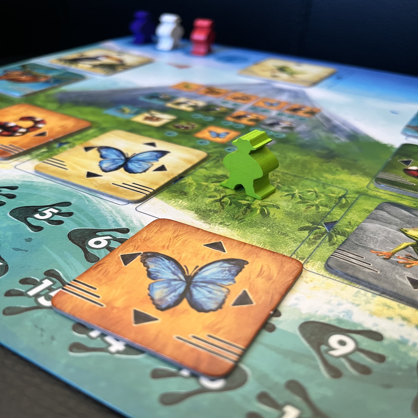 Blick auf den Spieltisch.