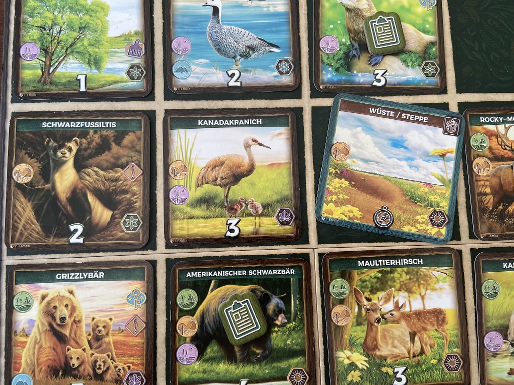 Das Spieltableau ist fast vollständig belegt. Gerade wurde eine Wildniskarte Wüste/Steppe ausgelegt.