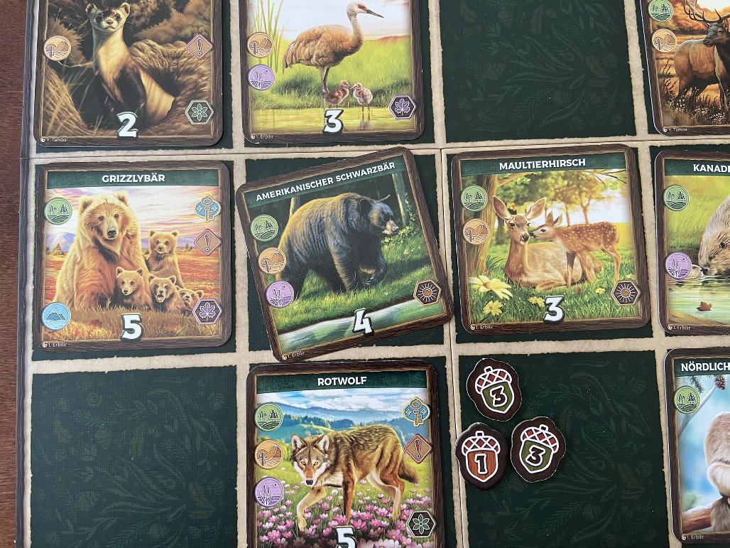 Blick auf ein Spieltableau.