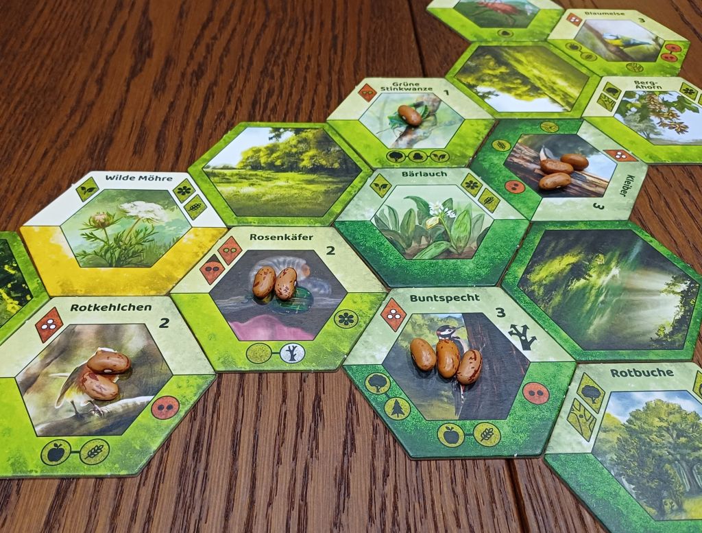 Naturkarten im Raster angelegt mit Bohnen drauf