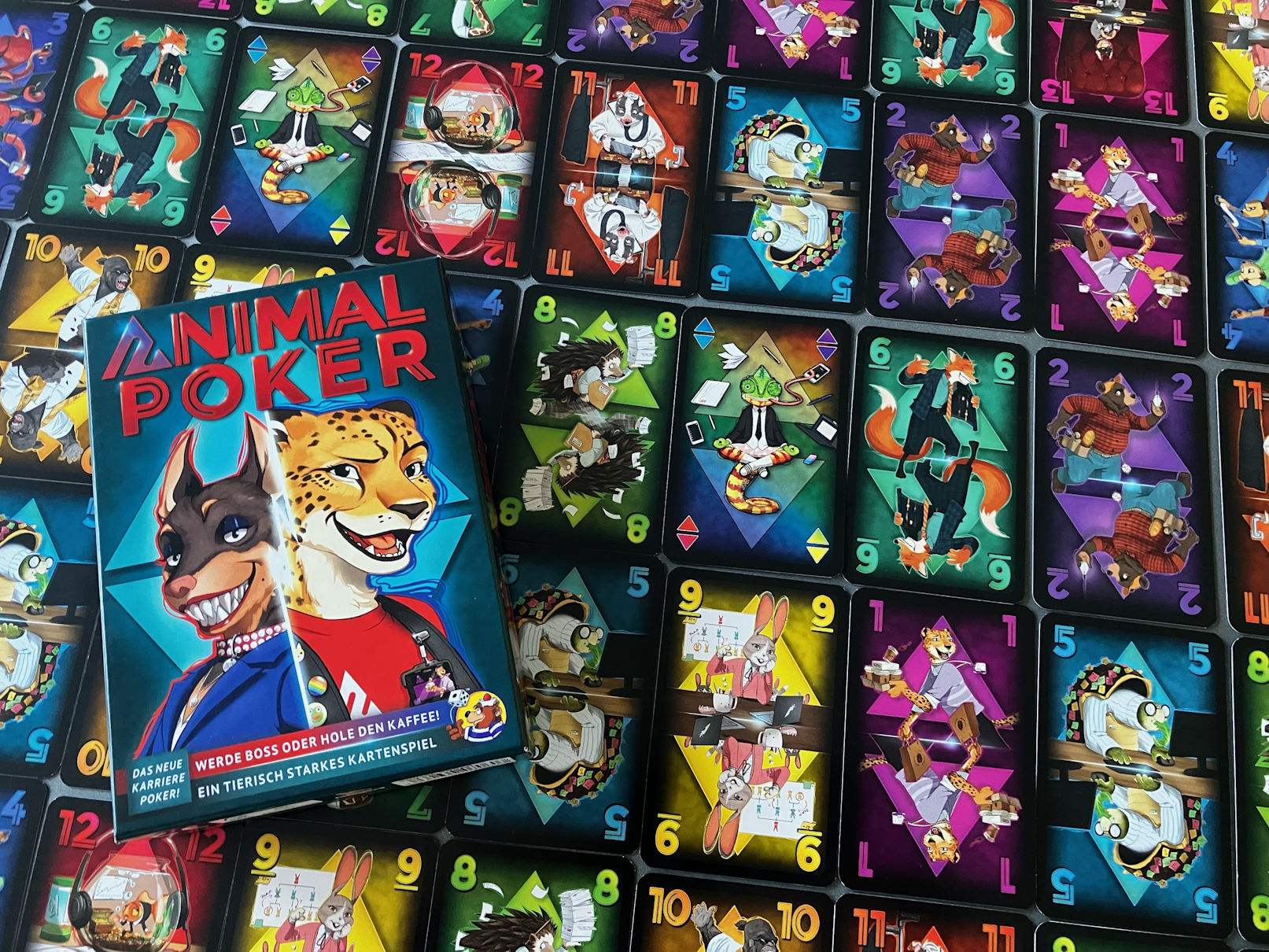 Bunte Kartenauslage in einem Muster angeordnet, die handliche Spielschachtel liegt darauf