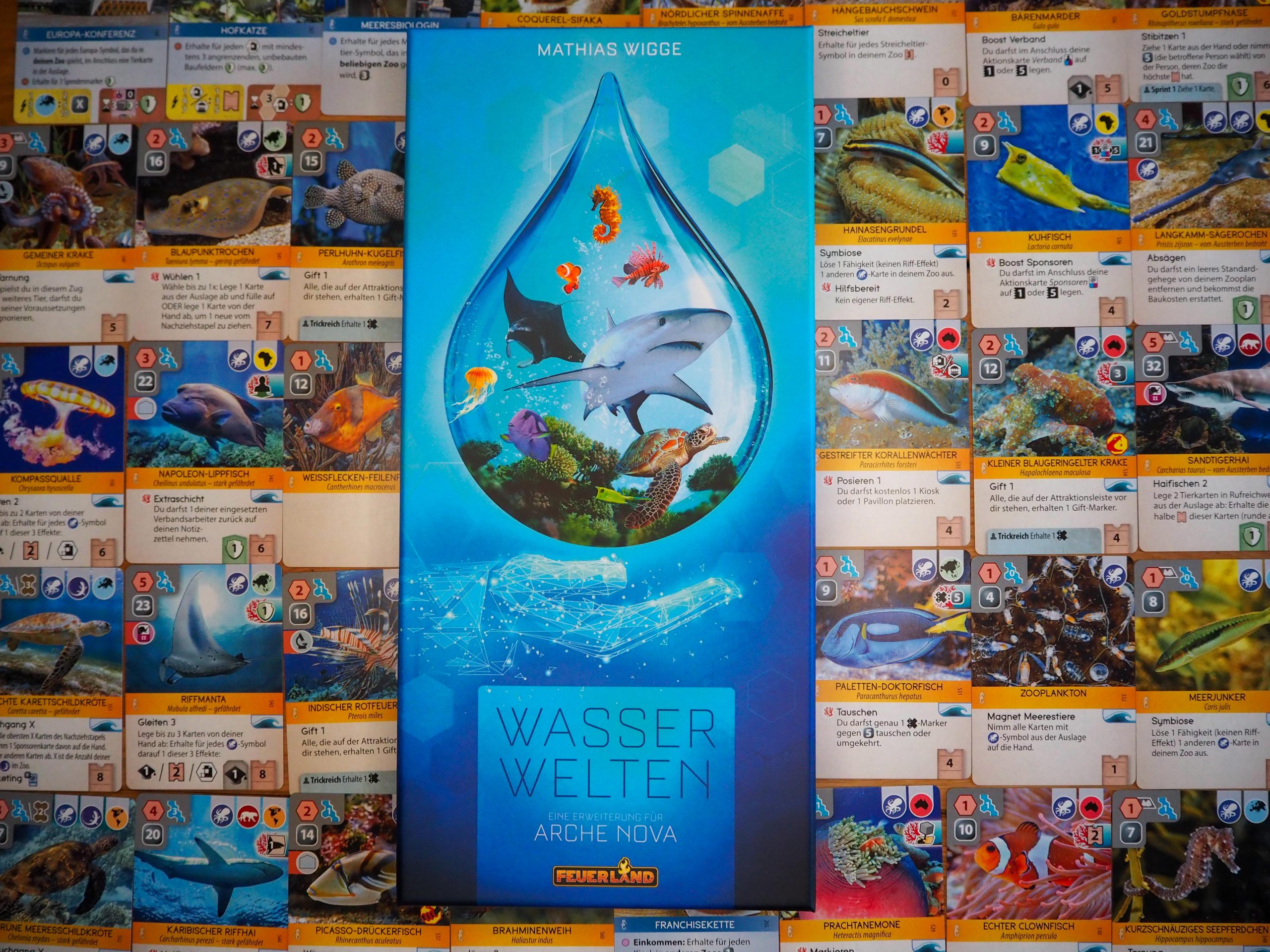 Spielkarton auf den enthaltenen Karten