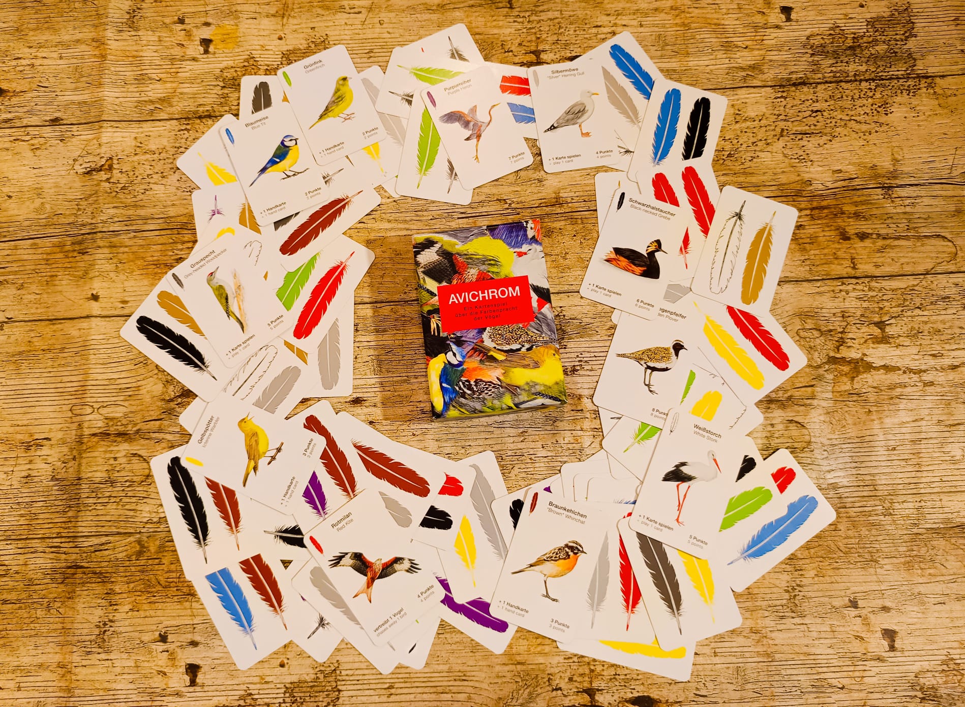 In der Spielschachtel sind mehrere Karten. Auf den Karten sind heimische Vögel und verschiedenfarbige Federn abgebildet.